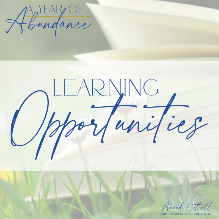 Abundance of Opportunities to Learn